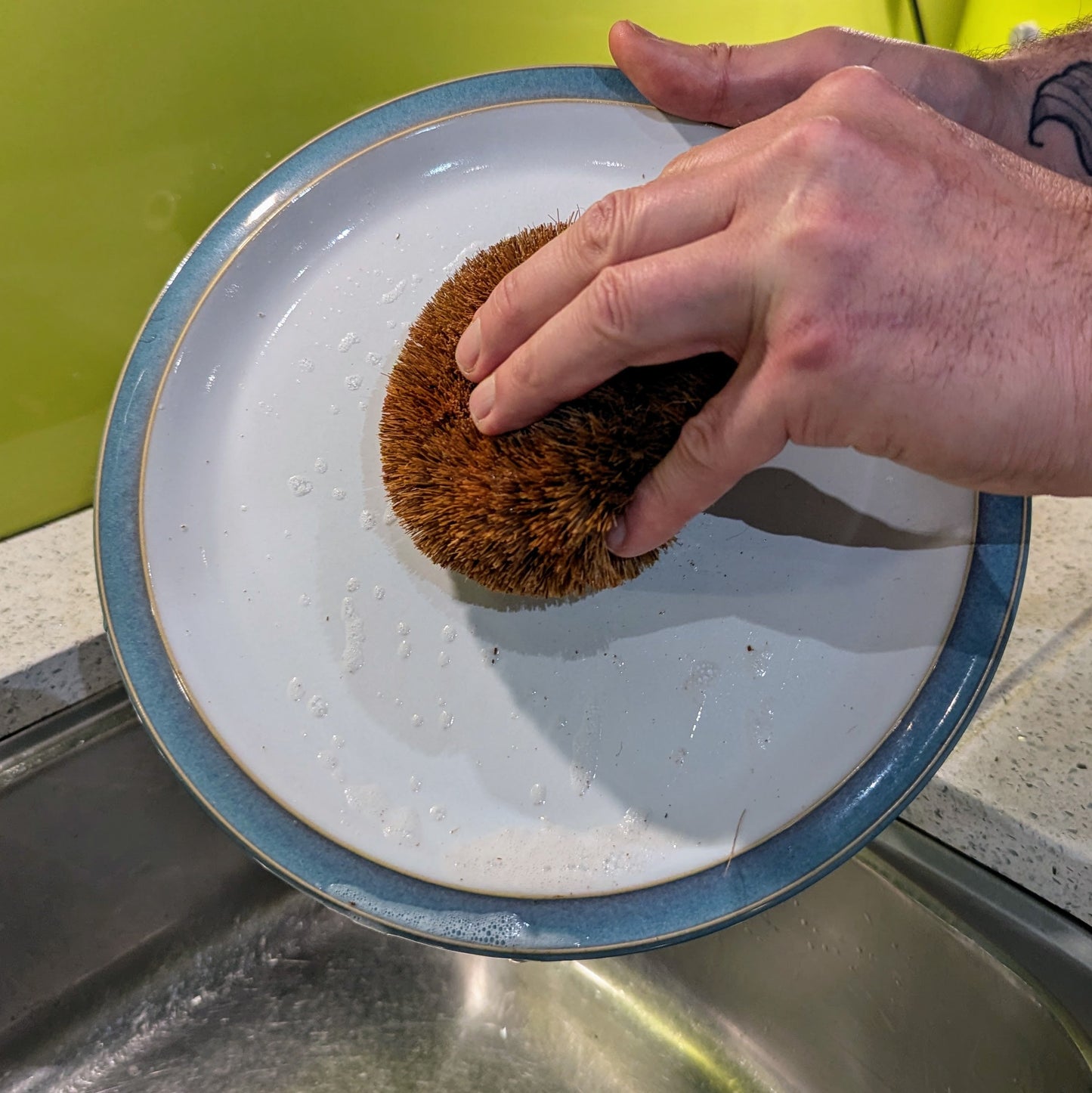 Hedgehog Coconut Scourers (2 pack) | Biodegradable Reusable Washing Up Scourers