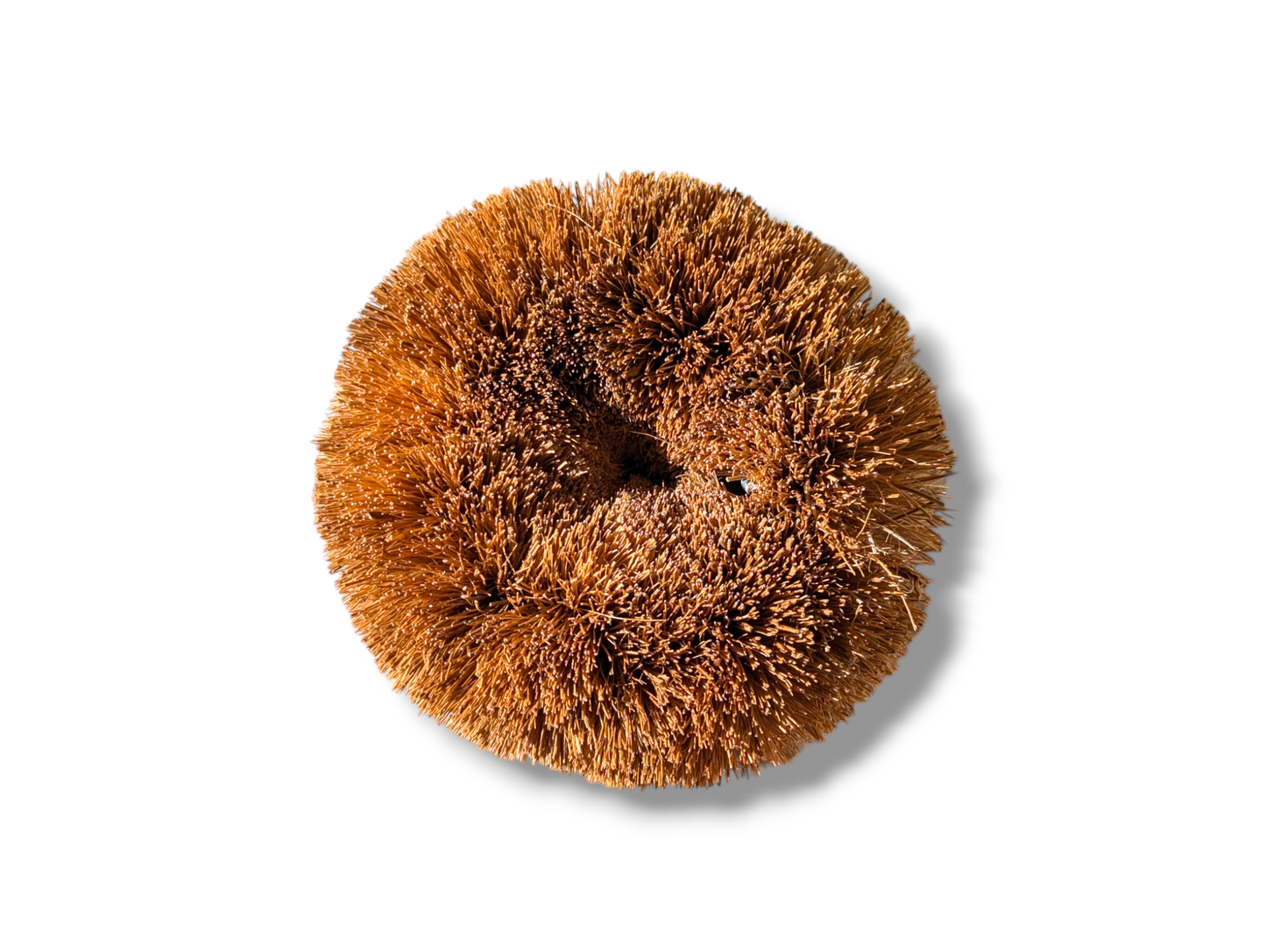 Hedgehog Coconut Scourers (2 pack) | Biodegradable Reusable Washing Up Scourers