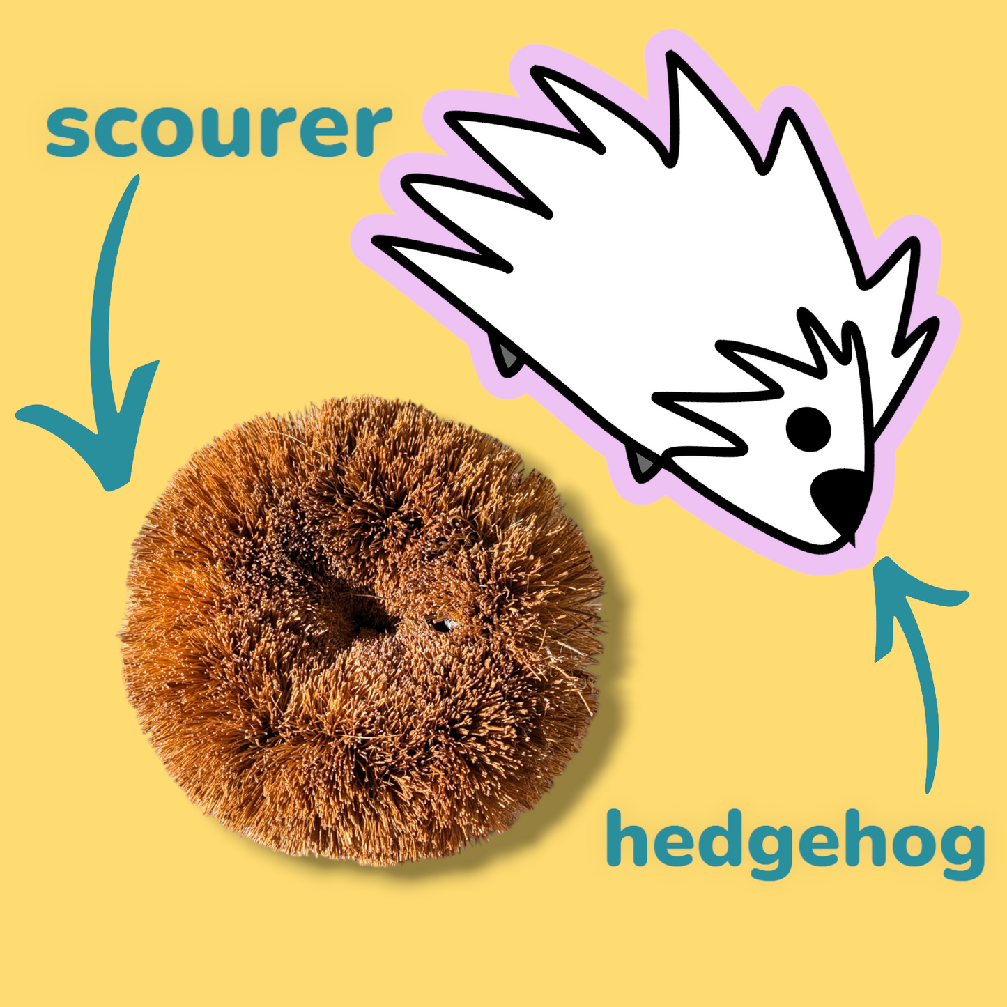 Hedgehog Coconut Scourers (2 pack) | Biodegradable Reusable Washing Up Scourers